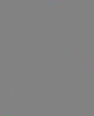 292x360