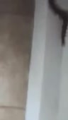 204x360