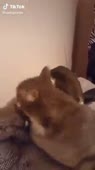 360x640