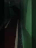 270x360