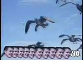 490x360