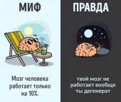 960x814