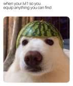 460x544