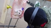 640x360