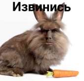 500x483