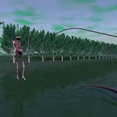 480x480