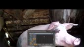 640x360