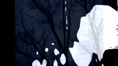 640x360