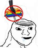344x435