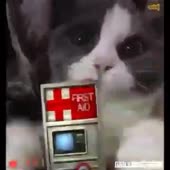 360x360