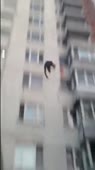 320x568