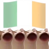640x640