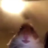 360x360