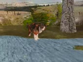 480x360
