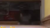 480x270