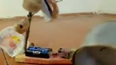 400x224