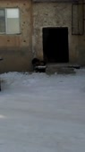 406x720