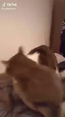 360x640