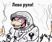 951x774