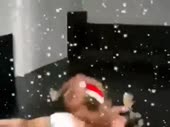 480x360