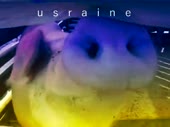 480x360