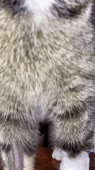 540x960