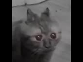 480x360