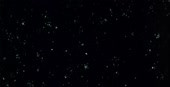 1278x658