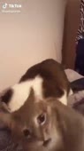 360x640