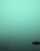 640x800