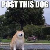 300x301