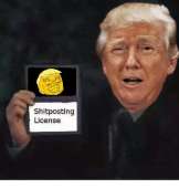 500x522