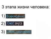 464x353