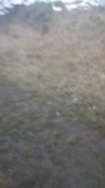 406x720
