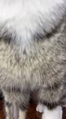 540x960