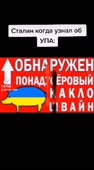 240x432