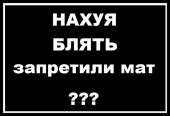 640x439