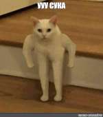 532x602