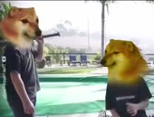 460x350