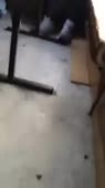202x360
