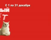 300x240