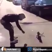 360x360