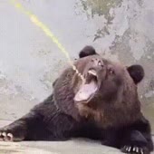 320x320