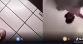 480x256