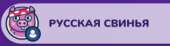 233x64