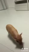 540x960