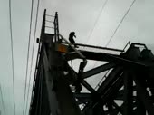 320x240