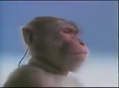 320x240