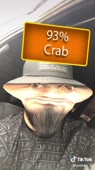 576x1024
