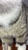 540x960
